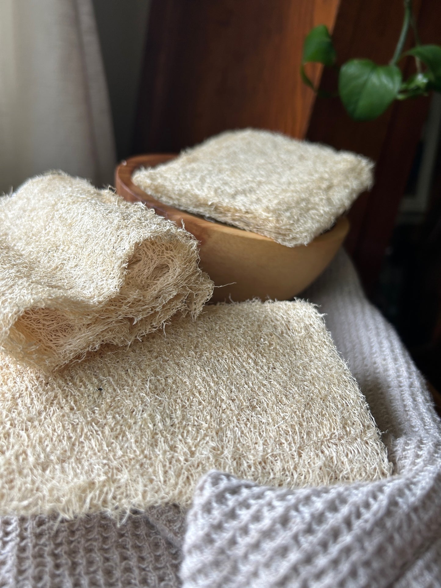 Natural Loofah Sponge