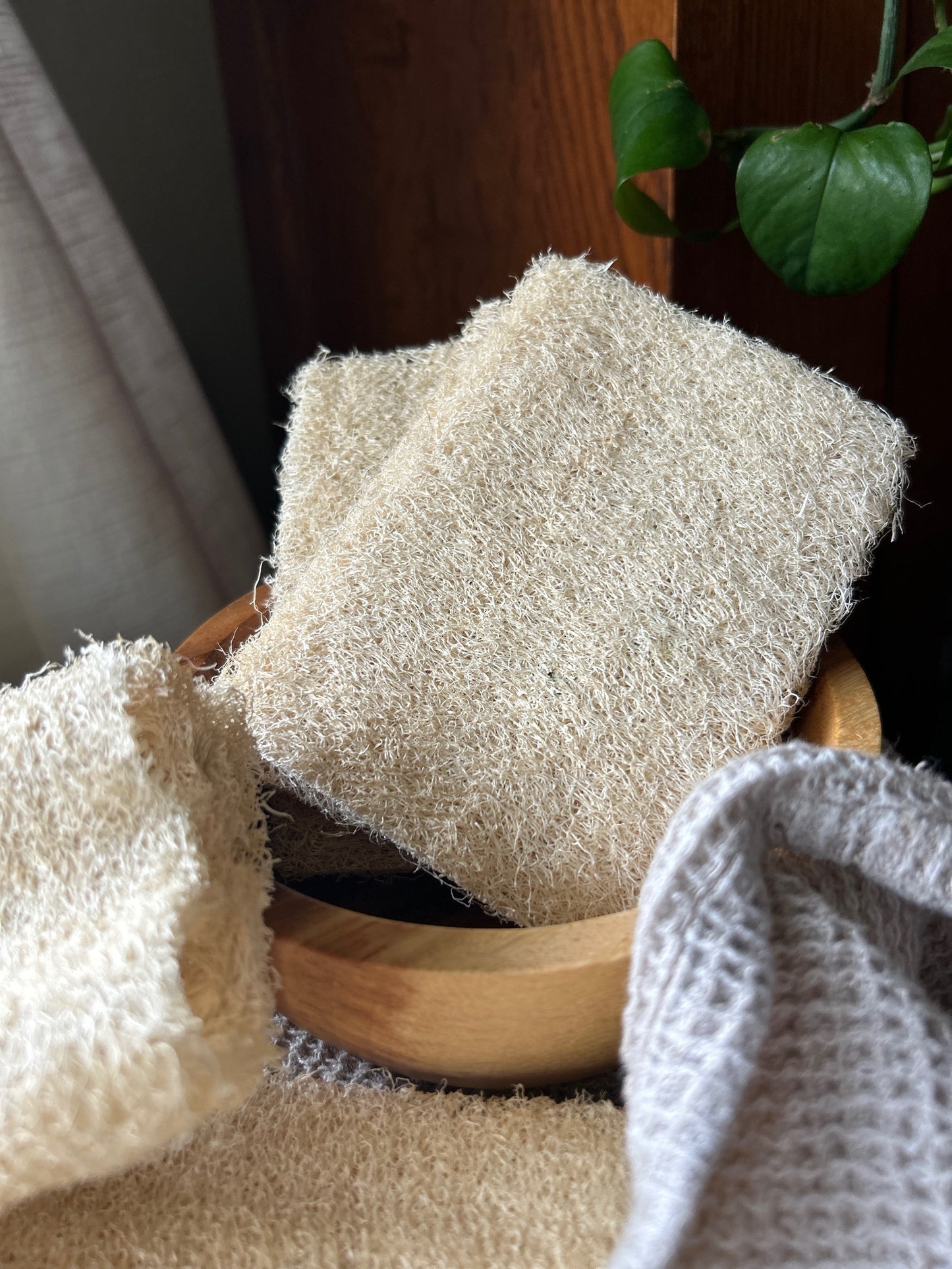 Natural Loofah Sponge