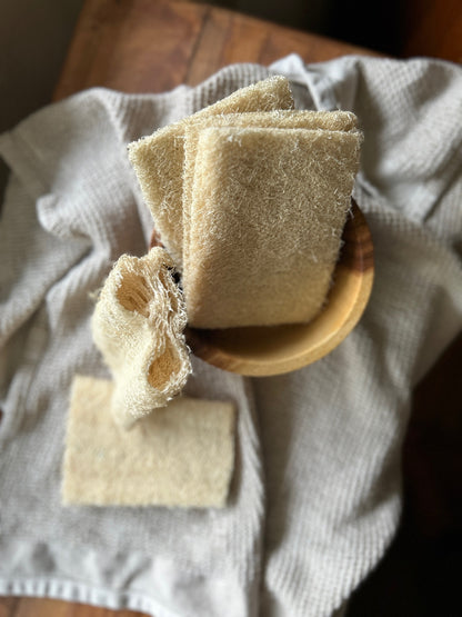 Natural Loofah Sponge